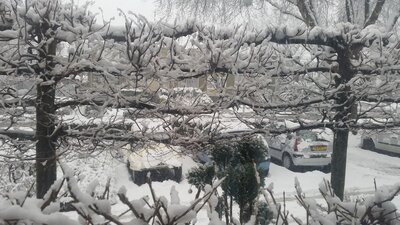 sneeuw.jpg