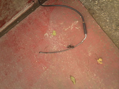 Photo-0001.jpg