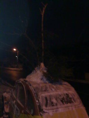 06012010178.jpg