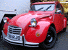 19053_278720158472_621818472_3520986_5795326_n_100_3.gif