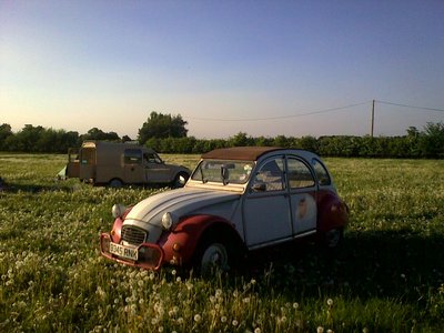 22052010153.jpg