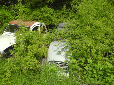 Cool 2cv photos-Peter Cross'paddock 004.JPG