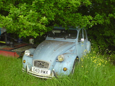 Cool 2cv photos-Peter Cross'paddock 006.JPG