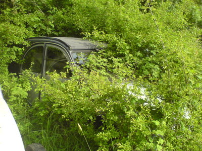 Cool 2cv photos-Peter Cross'paddock 012.JPG
