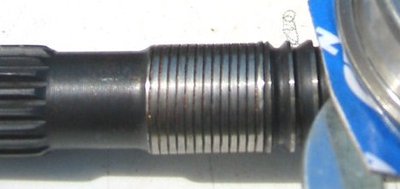 4815265138_ac61d152fa_b.jpg