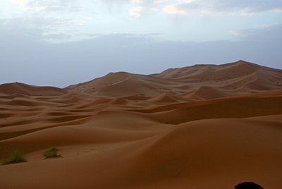 dunes.jpg