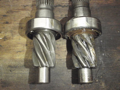 PB060084.JPG