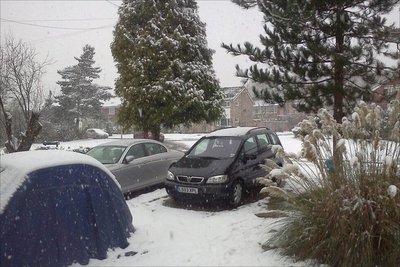 _50239428_snowphoto.jpg