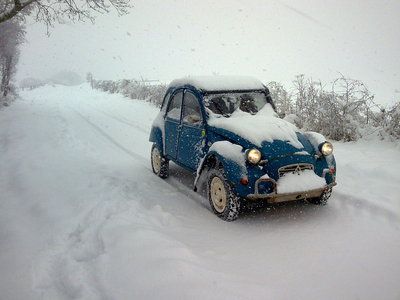 image305.jpg
