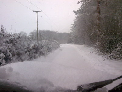 image309.jpg