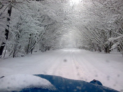 image314.jpg