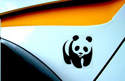 panda.jpg