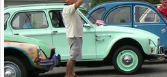 minty dyane.jpg