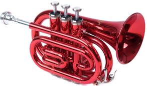 Pocket Trumpet.jpg