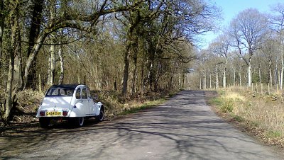 Chaddesley Woods.jpg