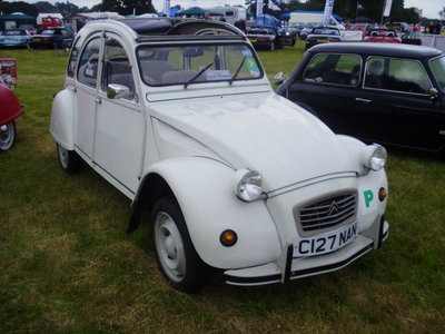 shower shelf & 2cv spots 006.jpg