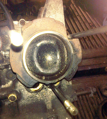 CIMG0102web.jpg