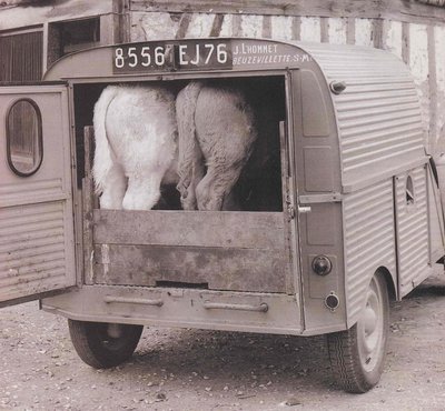 Fourgonnette Donkeys.jpg