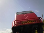 rear cool betsy competiton.jpg