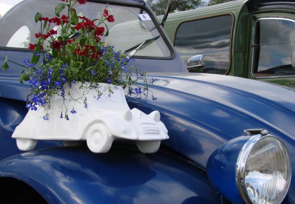 sweden flowers.jpg