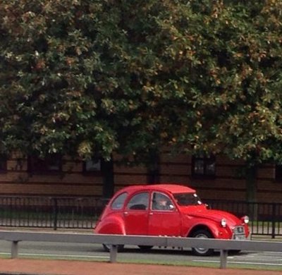 2CVSPOTTED.jpg