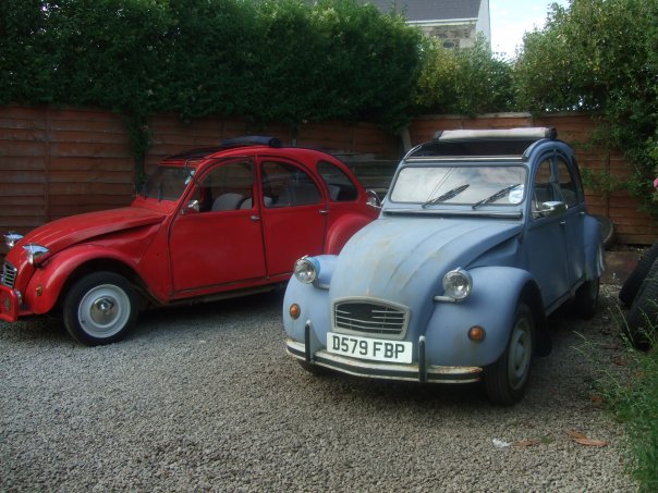 2 cv's 2.jpg