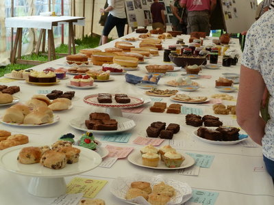 Latchley, Chilsworthy and Cox Park Show  26th July 2014 062.jpg