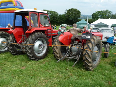 Latchley, Chilsworthy and Cox Park Show  26th July 2014 012.jpg