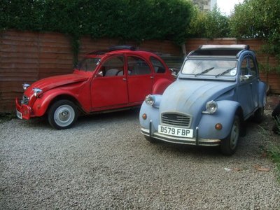 betsy and molly side by side. 1.jpg