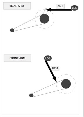 arms.jpg