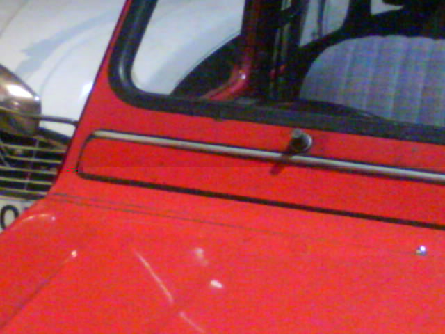 DSC09727.JPG