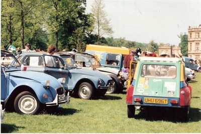 safari rally-4 (Large).jpg